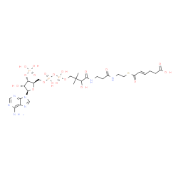 ChemSpider 2D Image | 5-Carboxy-2-pentenoyl-CoA | C27H42N7O19P3S