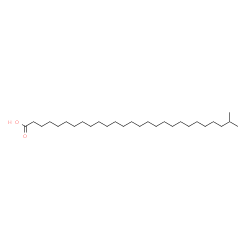 ChemSpider 2D Image | 26-Methylheptacosanoic acid | C28H56O2