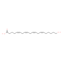 ChemSpider 2D Image | (all-Z)-20-hydroxy-5,8,11,14-Eicosatetraenoic acid | C20H32O3