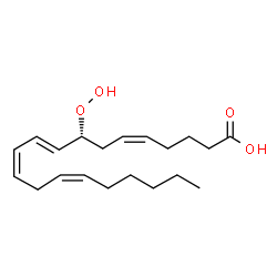 ChemSpider 2D Image | (5Z,8R,9E,11Z,14Z)-8-Hydroperoxy-5,9,11,14-icosatetraenoic acid | C20H32O4