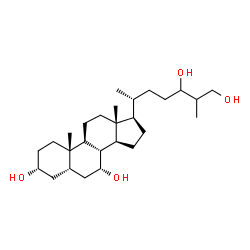 ChemSpider 2D Image | 5beta-cholestane-3alpha,7alpha,24,26-tetrol | C27H48O4