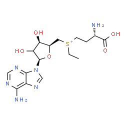 ChemSpider 2D Image | [(3S)-3-Amino-3-carboxypropyl]{[(2S,3R,5R)-5-(6-amino-9H-purin-9-yl)-3,4-dihydroxytetrahydro-2-furanyl]methyl}ethylsulfonium | C16H25N6O5S