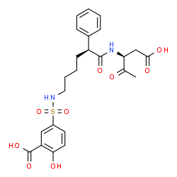 ChemSpider 2D Image | 5-[5-(1-CARBOXYMETHYL-2-OXO-PROPYLCARBAMOYL)-5-PHENYL-PENTYLSULFAMOYL]-2-HYDROXY-BENZOIC ACID | C24H28N2O9S
