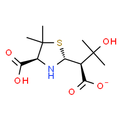 ChemSpider 2D Image | (2S)-2-[(2R,4S)-4-Carboxy-5,5-dimethyl-1,3-thiazolidin-2-yl]-3-hydroxy-3-methylbutanoate | C11H18NO5S