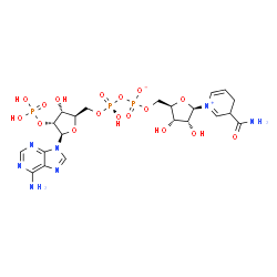 ChemSpider 2D Image | [[(2R,3R,4R,5R)-5-(6-aminopurin-9-yl)-3-hydroxy-4-phosphonooxy-tetrahydrofuran-2-yl]methoxy-hydroxy-phosphoryl] [(2R,3S,4R,5R)-5-(3-carbamoyl-3,4-dihydropyridin-1-ium-1-yl)-3,4-dihydroxy-tetrahydrofuran-2-yl]methyl phosphate | C21H30N7O17P3