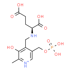 ChemSpider 2D Image | N-({3-Hydroxy-2-methyl-5-[(phosphonooxy)methyl]-4-pyridiniumyl}methyl)-L-glutamic acid | C13H20N2O9P