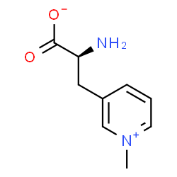 ChemSpider 2D Image | (2S)-2-Amino-3-(1-methyl-3-pyridiniumyl)propanoate | C9H12N2O2