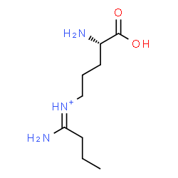 ChemSpider 2D Image | (1E)-1-Amino-N-[(4S)-4-amino-4-carboxybutyl]-1-butaniminium | C9H20N3O2
