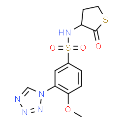 ChemSpider 2D Image | 4-Methoxy-N-(2-oxotetrahydro-3-thiophenyl)-3-(1H-tetrazol-1-yl)benzenesulfonamide | C12H13N5O4S2