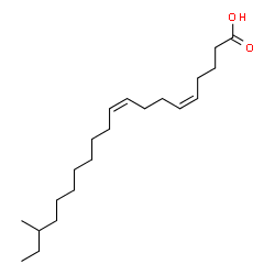 ChemSpider 2D Image | (5Z,9Z)-18-Methyl-5,9-icosadienoic acid | C21H38O2