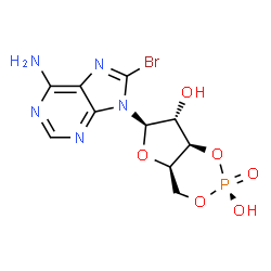 ChemSpider 2D Image | (2S,4aR,6R,7R,7aR)-6-(6-Amino-8-bromo-9H-purin-9-yl)tetrahydro-4H-furo[3,2-d][1,3,2]dioxaphosphinine-2,7-diol 2-oxide | C10H11BrN5O6P