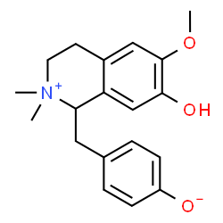 ChemSpider 2D Image | 4-[(7-Hydroxy-6-methoxy-2,2-dimethyl-1,2,3,4-tetrahydro-1-isoquinoliniumyl)methyl]phenolate | C19H23NO3