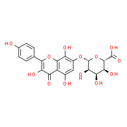 ChemSpider 2D Image | 3,5,8-Trihydroxy-2-(4-hydroxyphenyl)-4-oxo-4H-chromen-7-yl beta-D-allopyranosiduronic acid | C21H18O13