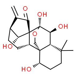 ChemSpider 2D Image | (1alpha,5beta,6beta,7beta,8alpha,9beta,10alpha,13alpha,14R)-1,6,7,14-Tetrahydroxy-7,20-epoxykaur-16-en-15-one | C20H28O6