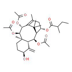ChemSpider 2D Image | (2alpha,5alpha,9alpha,10beta,14beta)-2,9,10-Triacetoxy-5-hydroxytaxa-4(20),11-dien-14-yl 2-methylbutanoate | C31H46O9