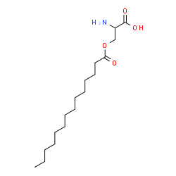ChemSpider 2D Image | O-Tetradecanoylserine | C17H33NO4