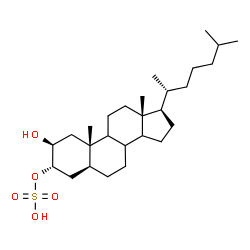ChemSpider 2D Image | (2beta,3alpha,5alpha,8xi,9xi,14xi)-2-Hydroxycholestan-3-yl hydrogen sulfate | C27H48O5S