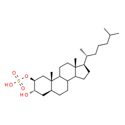 ChemSpider 2D Image | (2beta,3alpha,5alpha,8xi,9xi,14xi)-3-Hydroxycholestan-2-yl hydrogen sulfate | C27H48O5S