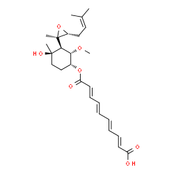 ChemSpider 2D Image | (2E,4E,6E,8E)-10-({(1R,2S,3S,4R)-4-Hydroxy-2-methoxy-4-methyl-3-[(2R,3R)-2-methyl-3-(3-methyl-2-buten-1-yl)-2-oxiranyl]cyclohexyl}oxy)-10-oxo-2,4,6,8-decatetraenoic acid | C26H36O7