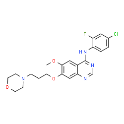 ChemSpider 2D Image | N-(4-Chloro-2-fluorophenyl)-6-methoxy-7-[3-(4-morpholinyl)propoxy]-4-quinazolinamine | C22H24ClFN4O3