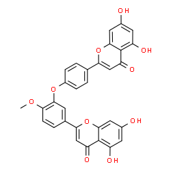 ChemSpider 2D Image | 2-{4-[5-(5,7-Dihydroxy-4-oxo-4H-chromen-2-yl)-2-methoxyphenoxy]phenyl}-5,7-dihydroxy-4H-chromen-4-one | C31H20O10