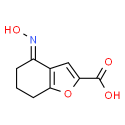 ChemSpider 2D Image | (4E)-4-(Hydroxyimino)-4,5,6,7-tetrahydro-1-benzofuran-2-carboxylic acid | C9H9NO4
