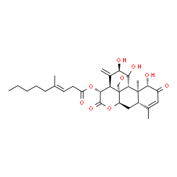 ChemSpider 2D Image | (1beta,12alpha,15beta)-1,11,12-Trihydroxy-2,16-dioxo-11,20-epoxypicrasa-3,13(21)-dien-15-yl (3E)-4-methyl-3-nonenoate | C30H40O9