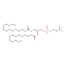 ChemSpider 2D Image | DMPC | C36H72NO8P