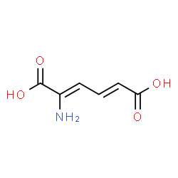 ChemSpider 2D Image | 2-Aminomuconic acid | C6H7NO4