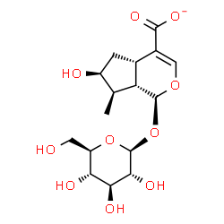 ChemSpider 2D Image | (1S,4aS,6S,7R,7aS)-1-(beta-D-Glucopyranosyloxy)-6-hydroxy-7-methyl-1,4a,5,6,7,7a-hexahydrocyclopenta[c]pyran-4-carboxylate | C16H23O10