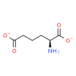 ChemSpider 2D Image | (2S)-2-Aminohexanedioate | C6H9NO4