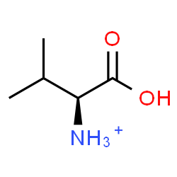 ChemSpider 2D Image | (1S)-1-Carboxy-2-methyl-1-propanaminium | C5H12NO2
