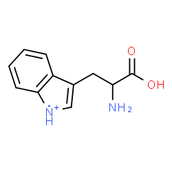 ChemSpider 2D Image | 2-amino-3-indol-3-yl-propanoic acid | C11H12N2O2