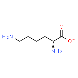 ChemSpider 2D Image | (2R)-2,6-Diaminohexanoate | C6H13N2O2