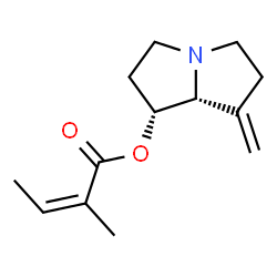 ChemSpider 2D Image | (1R,7aR)-7-Methylenehexahydro-1H-pyrrolizin-1-yl (2Z)-2-methyl-2-butenoate | C13H19NO2
