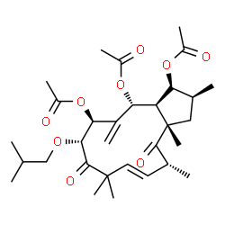 ChemSpider 2D Image | (1S,2S,3aS,5R,6E,10R,11S,13R,13aR)-10-Isobutoxy-2,3a,5,8,8-pentamethyl-12-methylene-4,9-dioxo-2,3,3a,4,5,8,9,10,11,12,13,13a-dodecahydro-1H-cyclopenta[12]annulene-1,11,13-triyl triacetate | C31H46O9
