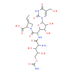 ChemSpider 2D Image | (3E)-1-({[2-Amino-5-(carbamoyloxy)-3,4-dihydroxypentanoyl]amino}{3,4-dihydroxy-5-[5-(hydroxymethyl)-2,4-dioxo-3,4-dihydro-1(2H)-pyrimidinyl]tetrahydro-2-furanyl}acetyl)-3-ethylidene-2-azetidinecarboxy
lic acid | C23H32N6O14