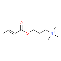 ChemSpider 2D Image | 3-[(2E)-2-Butenoyloxy]-N,N,N-trimethyl-1-propanaminium | C10H20NO2