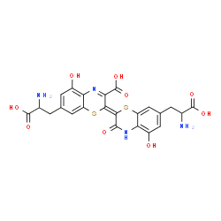 ChemSpider 2D Image | (2E)-7-(2-Amino-2-carboxyethyl)-2-[7-(2-amino-2-carboxyethyl)-5-hydroxy-3-oxo-3,4-dihydro-2H-1,4-benzothiazin-2-ylidene]-5-hydroxy-2H-1,4-benzothiazine-3-carboxylic acid | C23H20N4O9S2