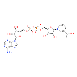 ChemSpider 2D Image | [[(2R,3S,4R,5R)-5-(6-aminopurin-9-yl)-3,4-dihydroxy-tetrahydrofuran-2-yl]methoxy-hydroxy-phosphoryl] [(2R,3S,4R,5R)-3,4-dihydroxy-5-[3-(1-hydroxyethyl)-4H-pyridin-1-yl]tetrahydrofuran-2-yl]methyl hydrogen phosphate | C22H32N6O14P2