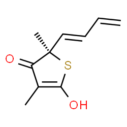 ChemSpider 2D Image | (2R)-2-[(1E)-1,3-Butadien-1-yl]-5-hydroxy-2,4-dimethyl-3(2H)-thiophenone | C10H12O2S