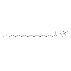 ChemSpider 2D Image | Methyl 16-{[dimethyl(2-methyl-2-propanyl)silyl]oxy}heptadecanoate | C24H50O3Si