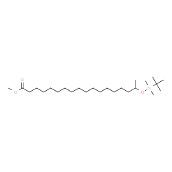 ChemSpider 2D Image | Methyl 17-{[dimethyl(2-methyl-2-propanyl)silyl]oxy}octadecanoate | C25H52O3Si