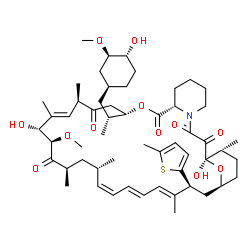 ChemSpider 2D Image | (1R,9S,12S,15R,16E,18R,19R,21R,23S,24Z,26E,28E,30S,32S,35R)-1,18-Dihydroxy-12-{(2R)-1-[(1S,3R,4R)-4-hydroxy-3-methoxycyclohexyl]-2-propanyl}-19-methoxy-15,17,21,23,29,35-hexamethyl-30-(5-methyl-2-thie
nyl)-11,36-dioxa-4-azatricyclo[30.3.1.0~4,9~]hexatriaconta-16,24,26,28-tetraene-2,3,10,14,20-pentone | C55H81NO12S