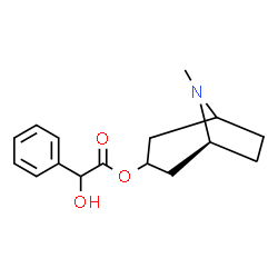 ChemSpider 2D Image | (1S)-8-Methyl-8-azabicyclo[3.2.1]oct-3-yl hydroxy(phenyl)acetate | C16H21NO3