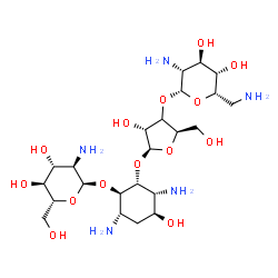 ChemSpider 2D Image | (1R,2R,3R,4S,6S)-3,6-Diamino-2-{[(3xi)-3-O-(2,6-diamino-2,6-dideoxy-beta-L-idopyranosyl)-beta-D-erythro-pentofuranosyl]oxy}-4-hydroxycyclohexyl 2-amino-2-deoxy-alpha-D-glucopyranoside | C23H45N5O14