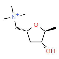 ChemSpider 2D Image | 2,5-Anhydro-1,3,6-trideoxy-1-(trimethylammonio)-L-arabino-hexitol | C9H20NO2