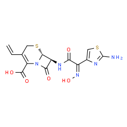 ChemSpider 2D Image | (6R,7S)-7-[[(2Z)-2-(2-Amino-4-thiazolyl)-2-(hydroxyimino)acetyl]amino]-3-ethenyl-8-oxo-5-thia-1-azabicyclo[4.2.0]oct-2-ene-2-carboxylic acid | C14H13N5O5S2