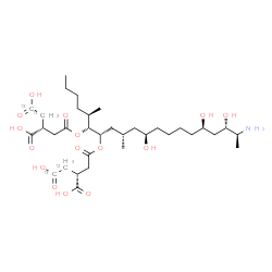 ChemSpider 2D Image | (2R,2'R)-2,2'-{[(5R,6R,7S,9S,11R,16R,18S,19S)-19-Amino-11,16,18-trihydroxy-5,9-dimethyl-6,7-icosanediyl]bis[oxy(2-oxo-2,1-ethanediyl)]}di(3,4-~13~C_2_)butanedioic acid | C3013C4H59NO15