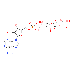 ChemSpider 2D Image | 9-{5-O-[Hydroxy({hydroxy[(hydroxy{[hydroxy(phosphonooxy)phosphoryl]oxy}phosphoryl)oxy]phosphoryl}oxy)phosphoryl]pentofuranosyl}-9H-purin-6-amine | C10H18N5O19P5
